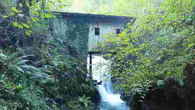MILL OF HELL