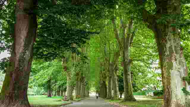 PARQUE INTZAKARDI