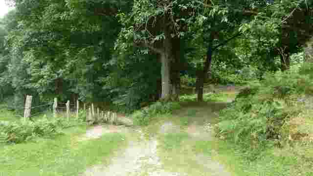 GR 11.3 Stage 1: Higer-Lesaka