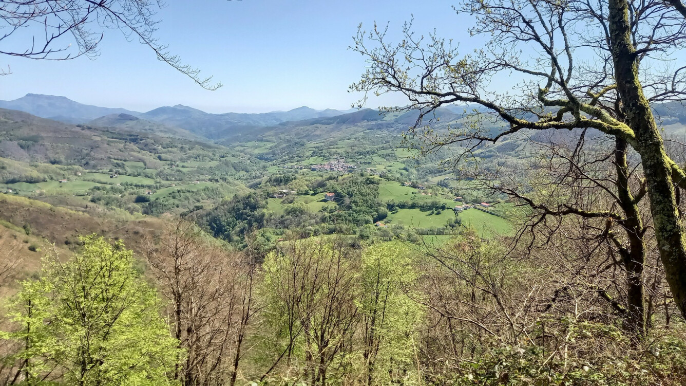 Izu-Artikutza