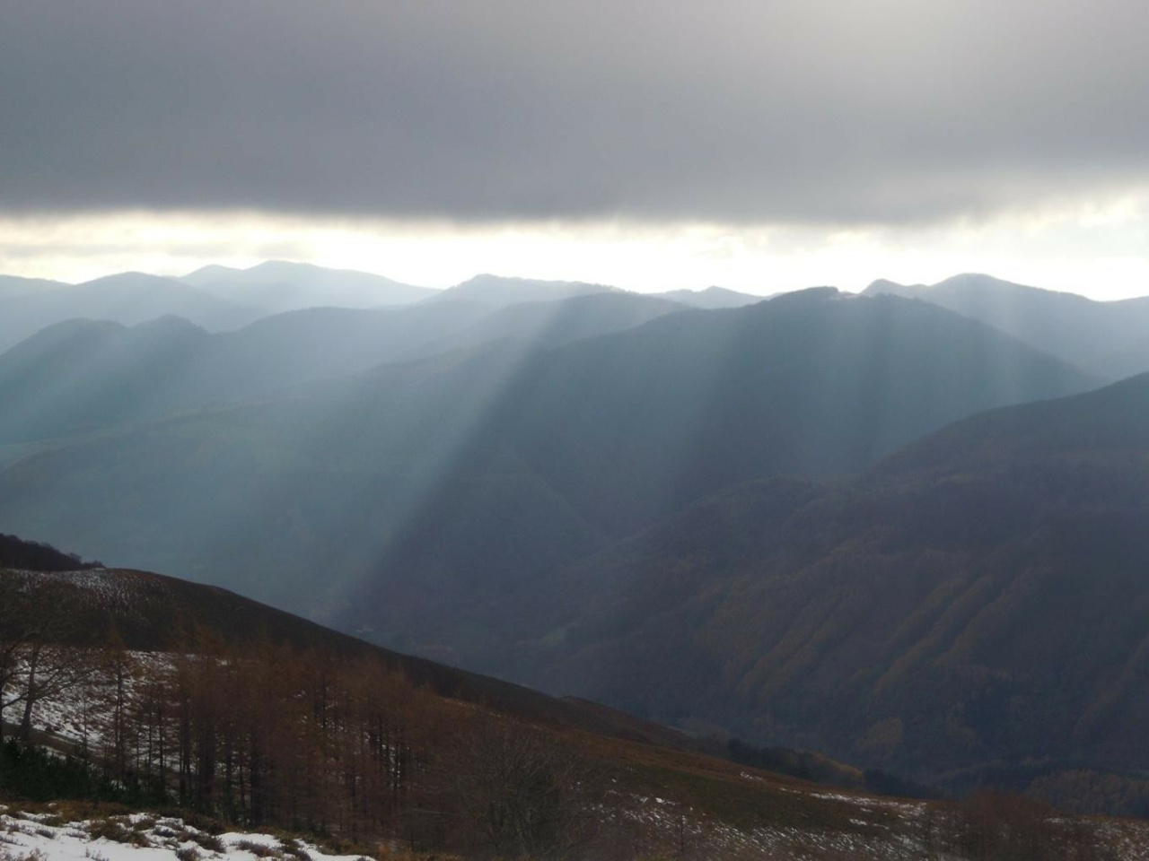 Erakurri (1)
