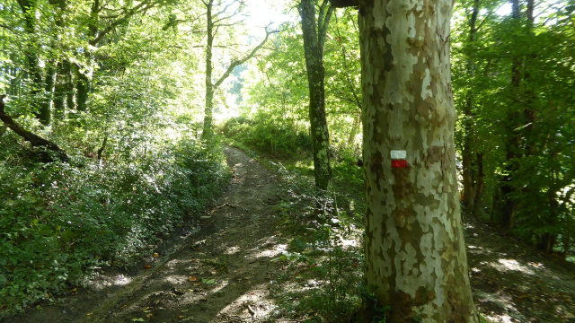 Bidasoa Trekking Stage 1A: GR 11-GR 12 Lesaka-Bustitza