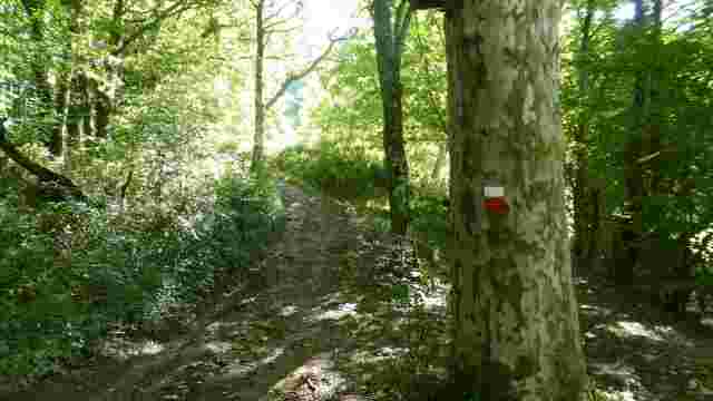 Trekking Bidasoa Etapa 1A: GR 11-GR 12 Lesaka-Bustitza