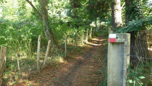 Bidasoa Trekking Stage 2: E.GR 11-GR 12 Bustitza-Uztakorta