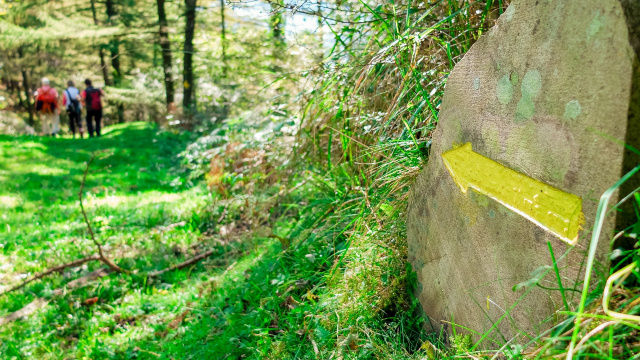 Hiking Trails